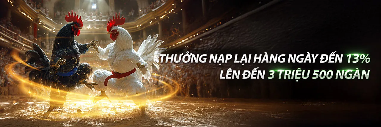 Đá Gà Cựa Dao Của Philippines kịch tính